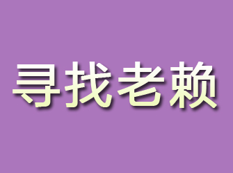 青冈寻找老赖